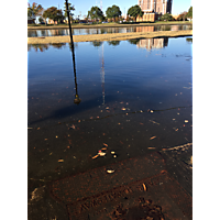 November high tide-Norfolk image